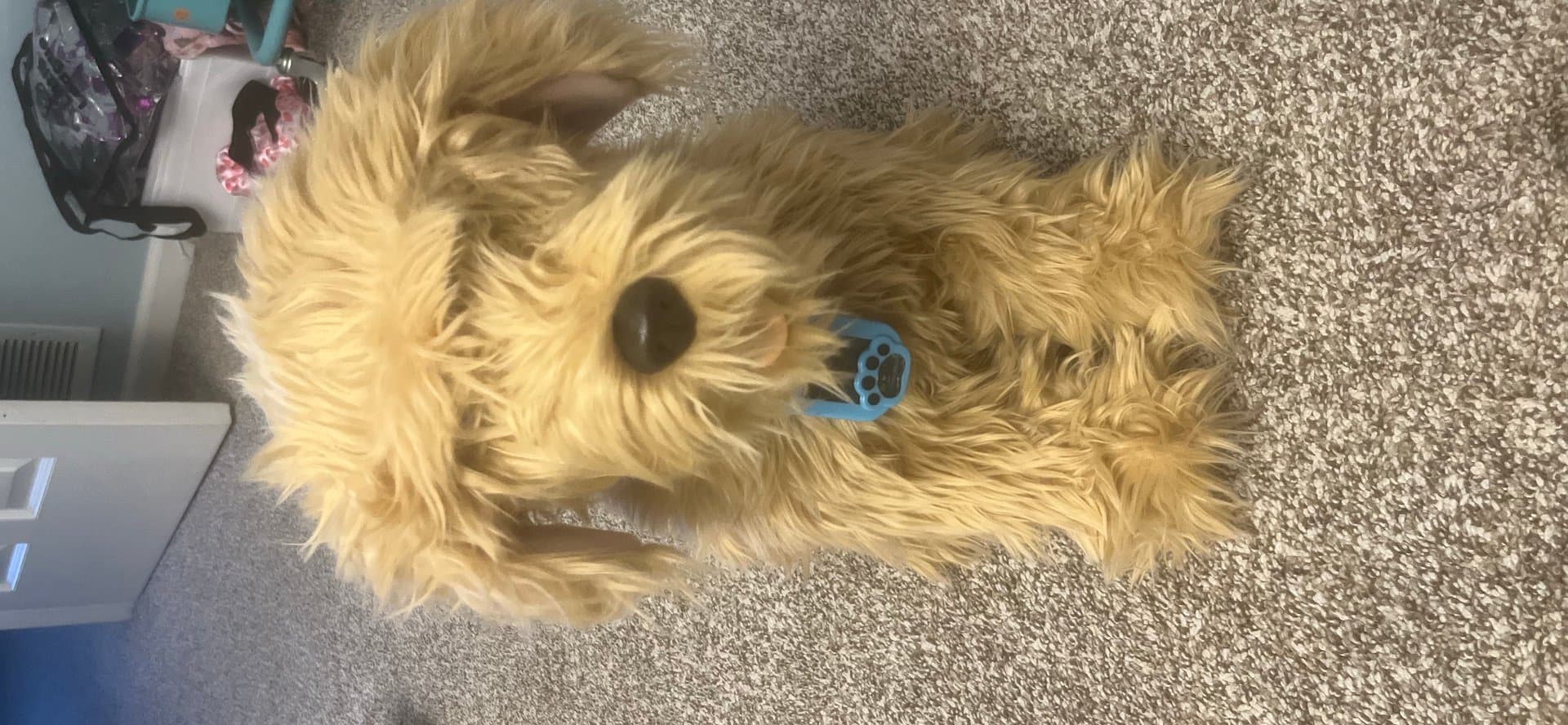 FurReal Friends Pax, My Poopin’ Pup — image 1 of 1