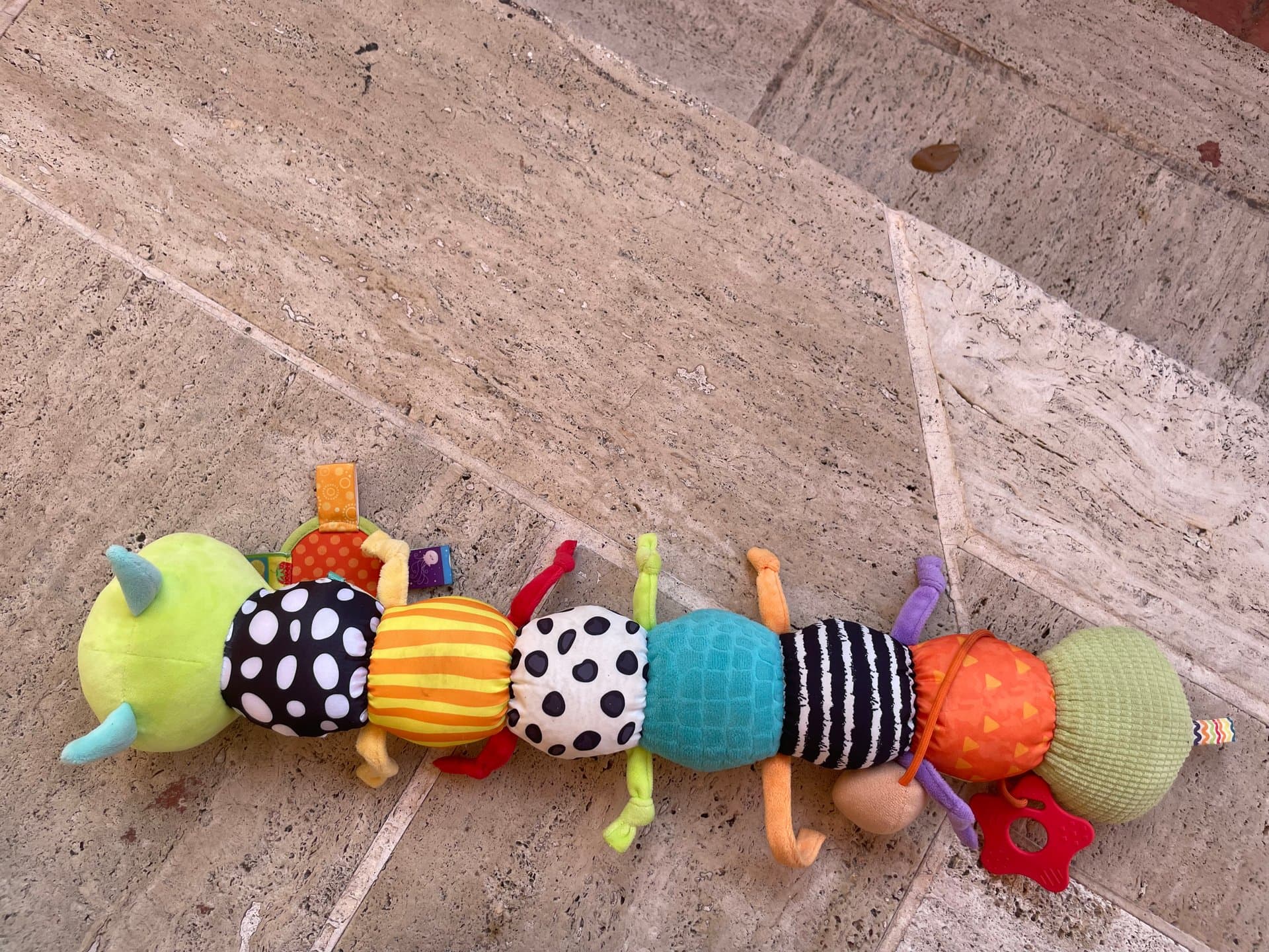 Baby caterpillar  — image 1 of 1