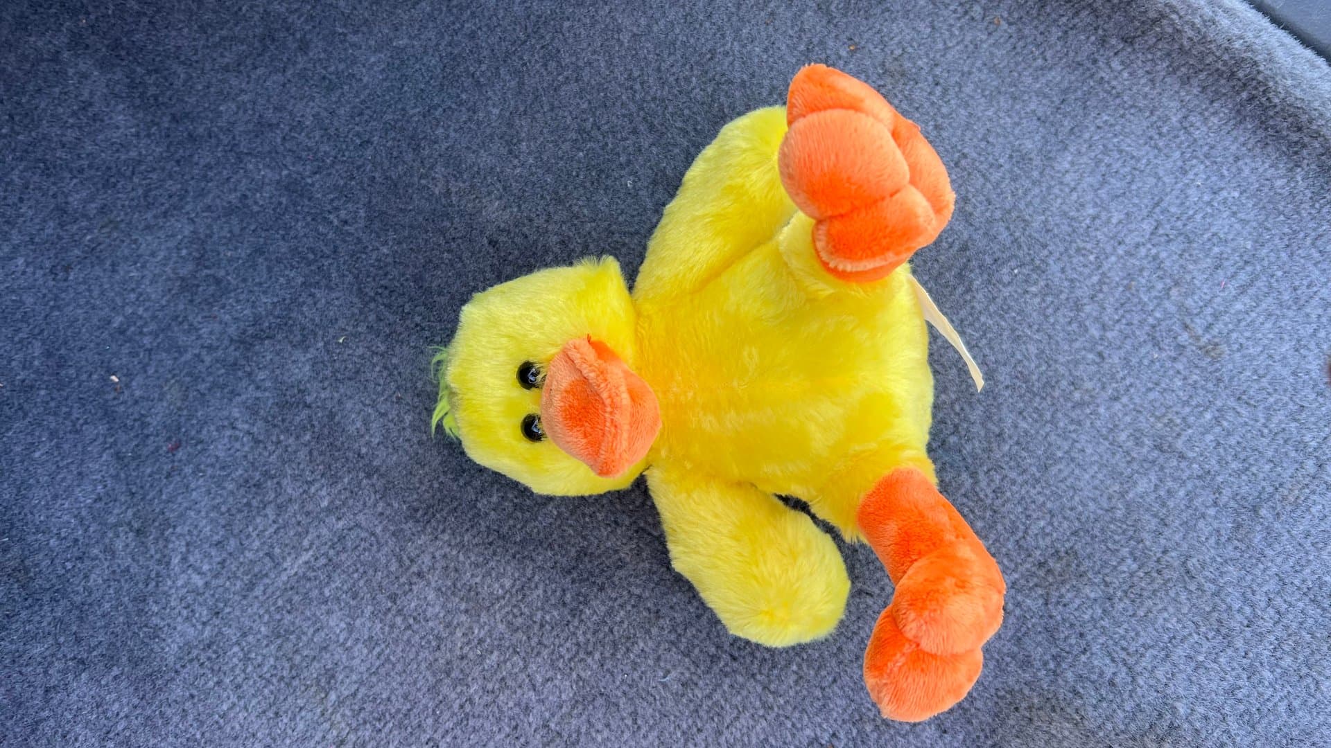 Duck — image 1 of 1