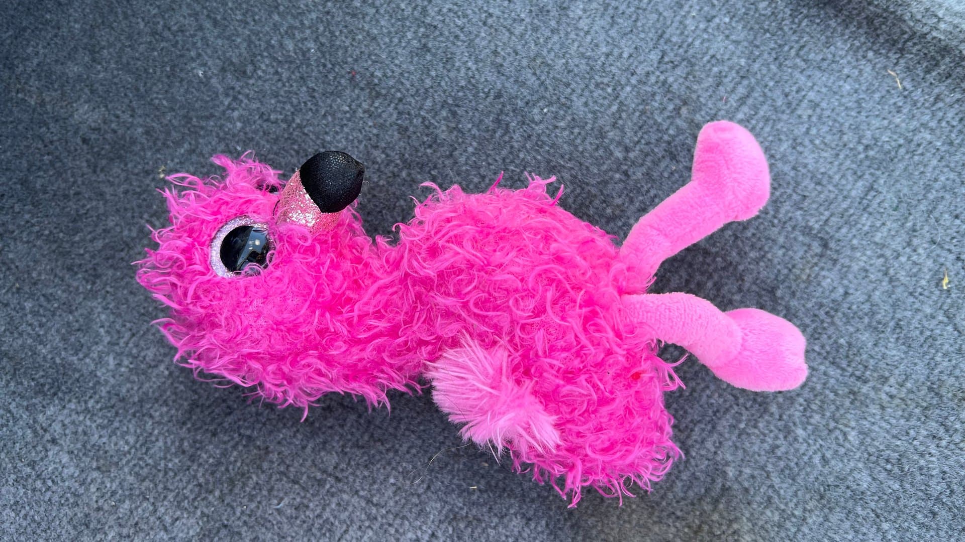 Flamingo — image 1 of 1