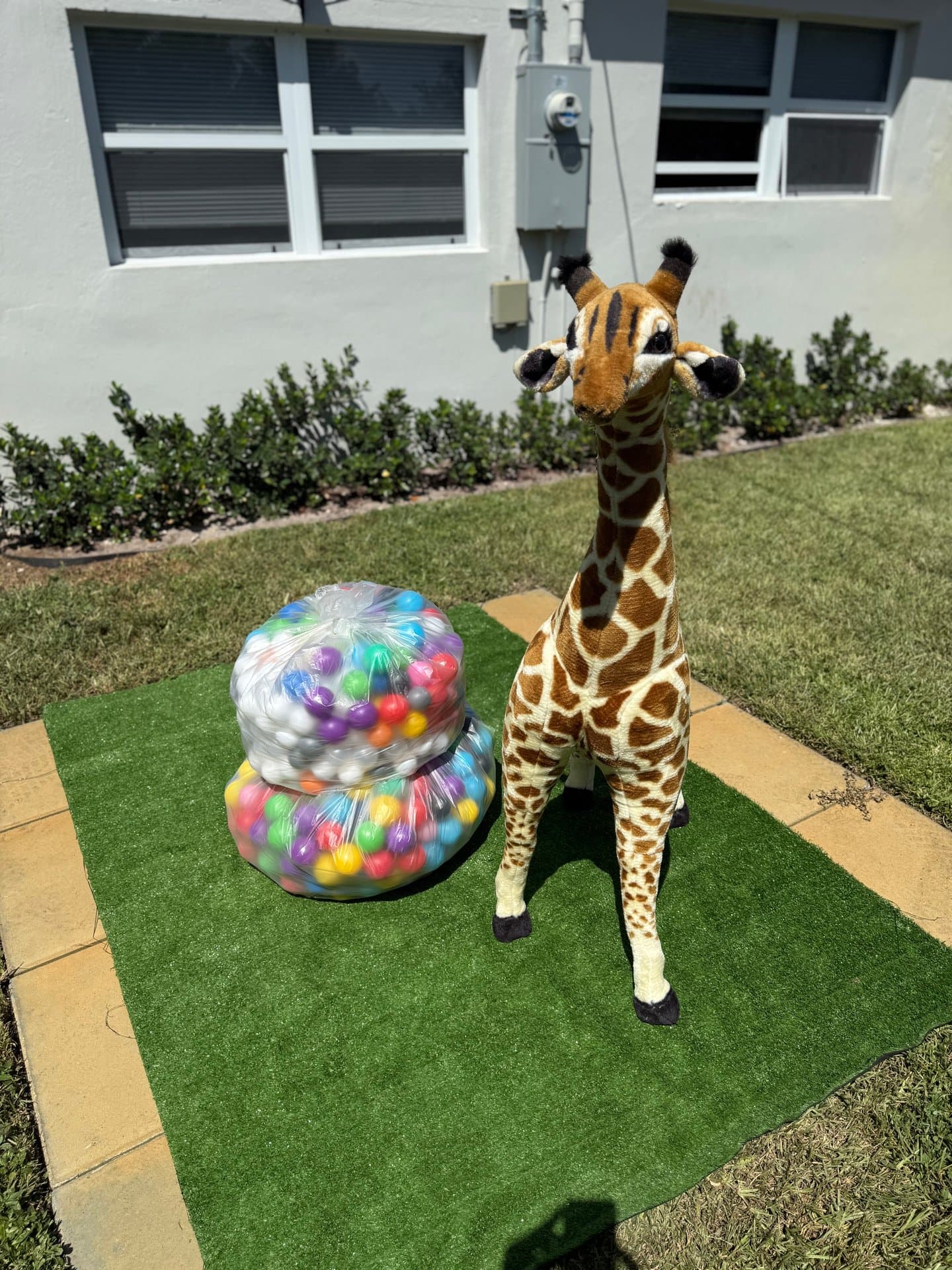Melissa & Doug Plush Giraffe and Pit Balls — image 1 of 2
