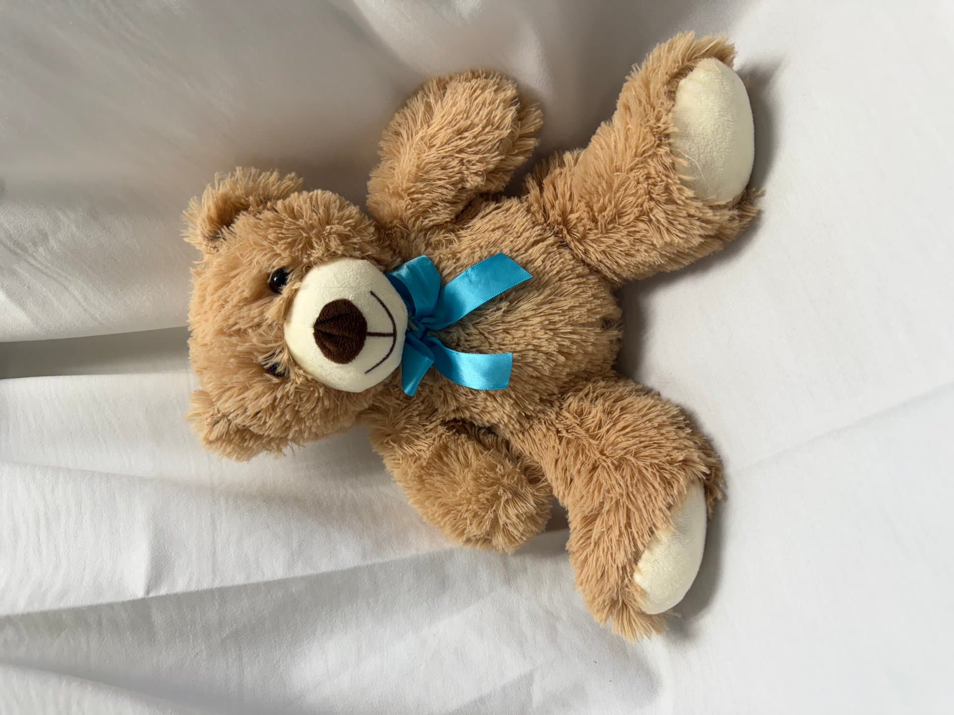 Teddy Bear — image 1 of 1